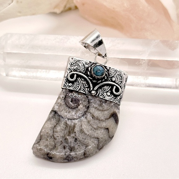 LARGE Ammonite Fossil & Larimar Silver Pendant Necklace